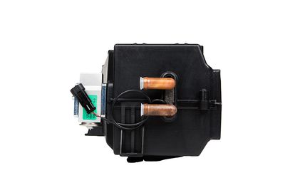 Sciadur - 4
